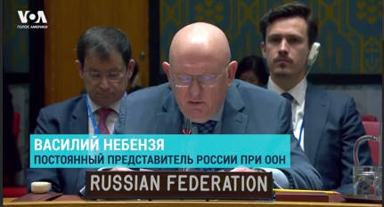 Нєбензя, виступ на Раді безпеки