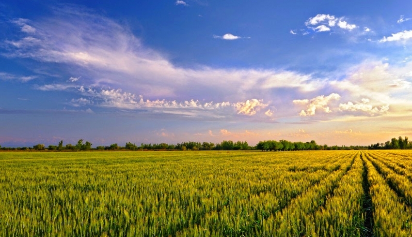 мораторий, земля, парламент