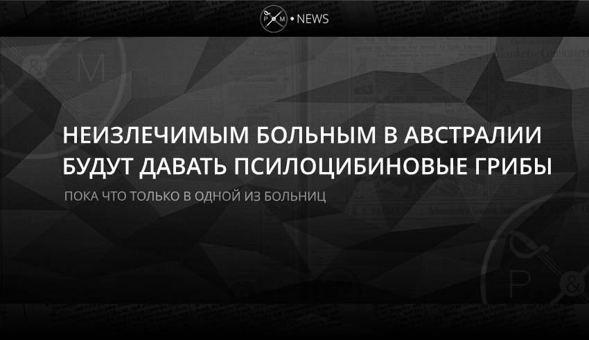 Неизлечимым больным в Австралии будут давать псилоцибиновые грибы